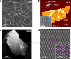Fan zhendong/wang chuqin vs liang jingkun/sun wen | semifinal 2021 chinese trials (2nd leg). Pressure Driven Phase Transitions And Reduction Of Dimensionality In 2d Silicon Nanosheets Nature Communications