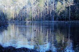 We did not find results for: Briarwood Nature Preserve Home Facebook