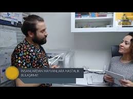 Insanlardan Hayvanlara Hastalik Bulasir Mi Genclik Hastaligi Nedir Veteriner Hekim Cevapliyor Youtube 2020 Veterinerler Hayvan Genclik