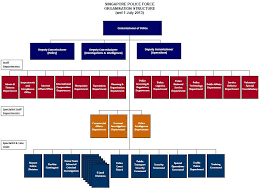 Mha Organisation Chart 2019