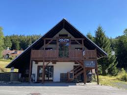 Všudy přítomné jizerské hory a pohodové wellness! Chata Dolfin Ubytovani Bedrichov Jizerske Hory