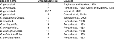 Image result for Cleome schimperi