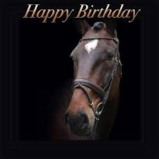 With tenor, maker of gif keyboard, add popular birthday horse animated gifs to your conversations. Horses Birthday Cards Photos Facebook