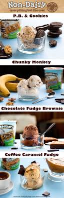 Ben Jerry S Non Dairy Ice Cream The Inside Scoop Non Dairy Ice Cream Food Dairy Free