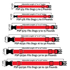 Collars Plus Size Pups