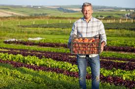 O do campesinato e o do agronegócio. Homenagem Ao Dia Do Agricultor A Mais Nobre Das Profissoes Portal Macauba
