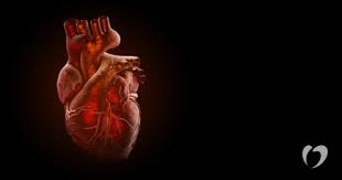 Symptoms can include shortness of breath, chest pain, decreased ability to exercise, and an irregular heartbeat. Myocarditis Causes Symptoms And Treatment Oklahoma Heart Hospital