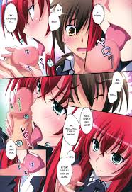 Rise highschool dxd