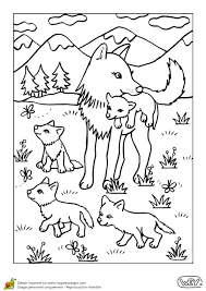 Coloriage Bebe Animaux Louve Et Louveteaux Coloriage Loup Coloriage Coloriage Renard