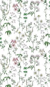 Date (circa) quadri gold : Meadow Flowers Vector Seamless Pattern Flowers Vector Flower Graphic Camomile Flower