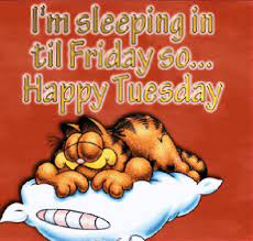 Maybe you would like to learn more about one of these? Good Morning Tuesday Inspirational Quotes With Images Good Morning Fun