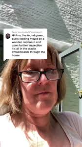 How to Deal with Green Mold