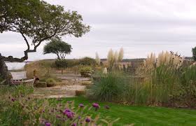 Although acorus gramineus ogon grass is not a fully evergreen grass, it will withstand all but the worst winter month. Helen Elks Smith On Twitter Coastal Gardens Can Be Enjoyed In The Winter As Much As The Summer This Is Our Christchurch Garden Overlooking The Harbour In Mid November I Love The Muted