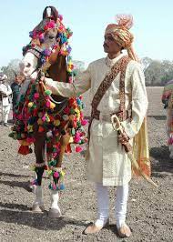 Traditional Indian Wedding Costume On A Marwari Horse And Groom Mooie Paarden Paarden Dieren