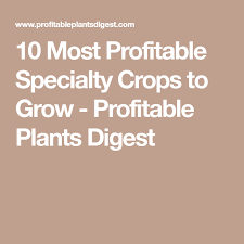 10 Most Profitable Specialty Crops To Grow Profitable Plants Digest In 2020 Specialty Crops Cash Crop Aquaponics