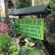 Baba nursery ei tegutse valdkondades puukoolid ja aiakaubad. Ideal Plant Nurseries 1 Tip