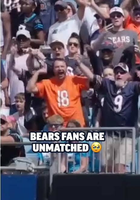 when we say we have the best fans, we mean it #chicagobears #nfl #gameday  #victorymonday