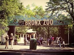 The Bronx New York Visiter Le Zoo Du Bronx Bons Plans New York Blog Partir A New York Bronx Zoo Le Zoo Bronx