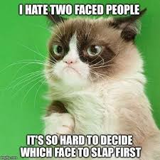 Oh Grumpy Cat Persiancatfacts Persiancatscare Persiancatcare Catsfunnysayings Funny Grumpy Cat Memes Grumpy Cat Humor Cat Quotes Funny