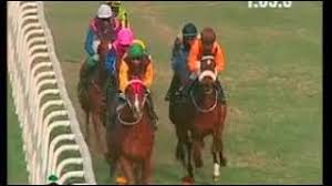 Indiarace Com India S First Foremost Horse Racing Portal Download and use 500+ india stock videos for free. india s first foremost horse racing