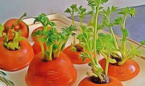 Epingle Sur Plantes En Pots
