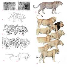 Velizar Simeonovski Leon Cavernario Prehistoric Animals Prehistoric Creatures Extinct Animals