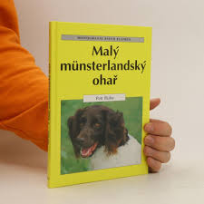 Image result for Malý münsterlandský ohař