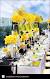 Pastel Yellow And White Wedding Theme