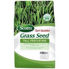 Scotts Turf Builder 20 Lb Tall Fescue Grass Seed Lowes Com Tall Fescue Grass Seed For Shade Fescue Grass Seed