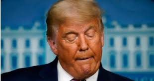 Trump thought courts were key to winning. Judges disagreed.