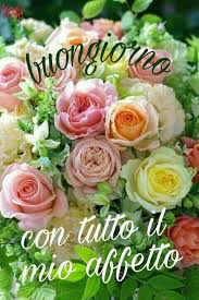 Immagini di buongiorno con giorni della settimana da scaricare gratis per facebook e whatsapp. Pin Di Benedetta Tua Su Buongiorno Mazzo Di Fiori Fiori E Bellissimi Fiori