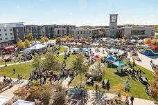 Fall Festival