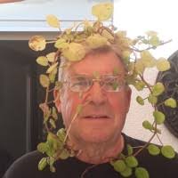 20+ "Paul Westhoff" profiles