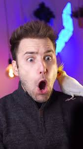 Onyx King's Powers Explained