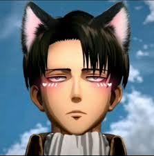 Check spelling or type a new query. Levi Neko Pfp In 2021 Anime Catboy Catboy Levi Catboy