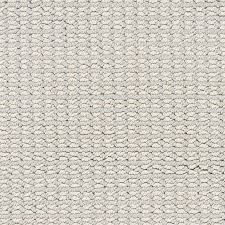 Maybe you would like to learn more about one of these? Stainmaster Petprotect Secret Dream Tribeca Pattern Carpet Indoor Lowes Com Carpet Samples Stainmaster Patterned Carpet