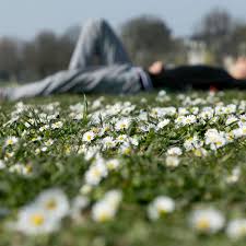 Den grasfleck auf der jeans mit haarspray besprühen. Dieser Ungewohnliche Tipp Entfernt Grasflecken Zuverlassig Wohnen