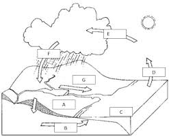 Draw Water Cycle And Label Beautiful Imagequiz Water Cycle Labeling In 2020 Water Cycle Diagram Water Cycle Water Cycle Labeled
