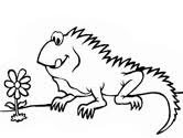 School's out for summer, so keep kids of all ages busy with summer coloring sheets. Iguana Coloring Pages