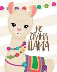 Barbara Mendez On Instagram No Drama Over Here Just Chillin Happy Ketosis Keto Ketosis Ketoge Cute Alpaca Birthday Background Wallpaper Cute Llama