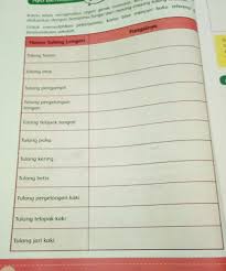 Check spelling or type a new query. Fungsi Tulang Lengan Brainly Co Id