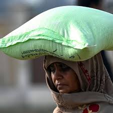 Morir de hambre en la era de la inteligencia artificial: por qué 839  millones de personas no pueden comer dignamente