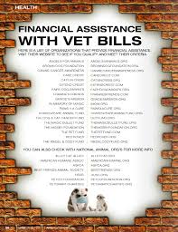 We're setting a new standard for pet health and wellness. Figo Pet Insurance It Breaks Our Heart When People Call Figo To Get Insurance For A Pet That S Already Ill Or Injured At That Point There Isn T Much We Can Do