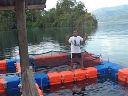 Dermaga Apung Tambak Moderen Hdpe Dermaga Apung Tambak Moderen Hdpe