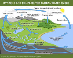 Humans And The Water Cycle Science Learning Hub Water Cycle Earth Science Learning Science