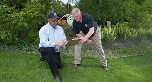 At bbnq lawn care we are the top lawn and outdoor maintenance company in the area. What To Know Before Adding Lawn Care