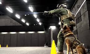 Msig Warrior Physical Fitness Test New Zealand Sas