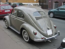 Image result for Medium Brown 1950 Beetle