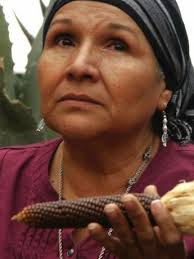 Open Sesame: The Story of Seeds