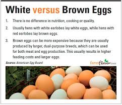 Nebraska Egg Industry Breaking Out Of The Shell Farm Flavor Brown Eggs Eggs White Eggs